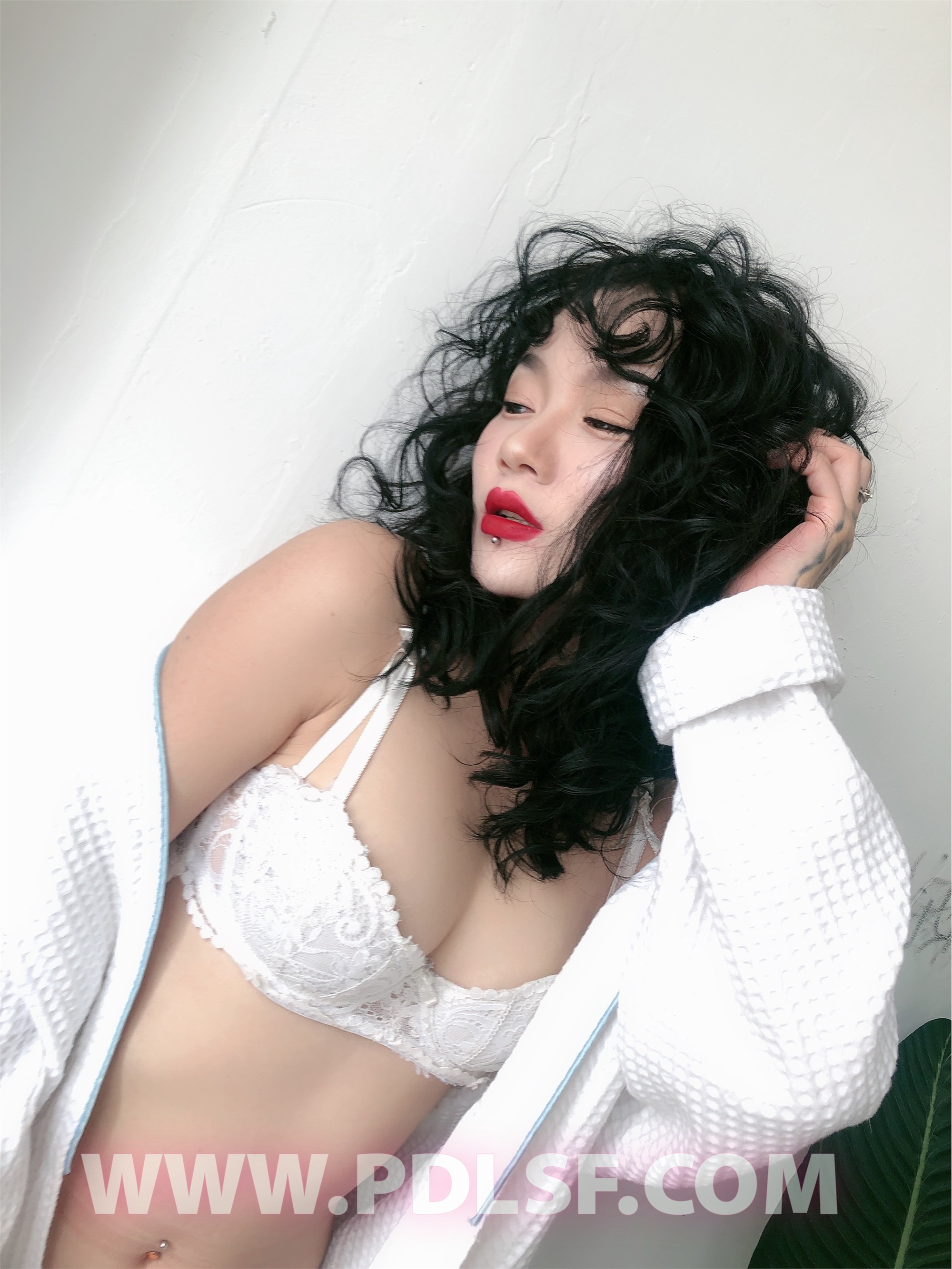 PDL潘多拉 2020.02.03 专辑No.277